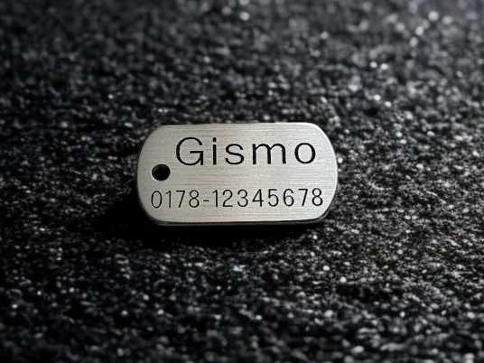 Hundemarke Edelstahl Dogtag 30 mm