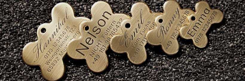 Hundemarke Messing Knochen Uebersicht