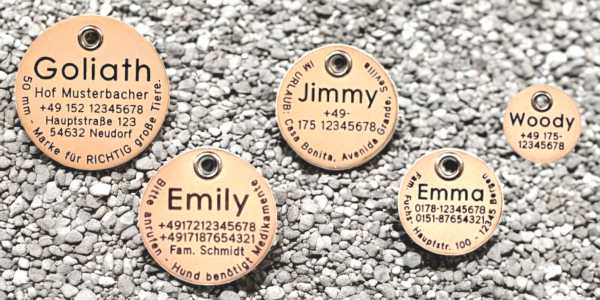 Hundemarken aus Leder - Übersicht