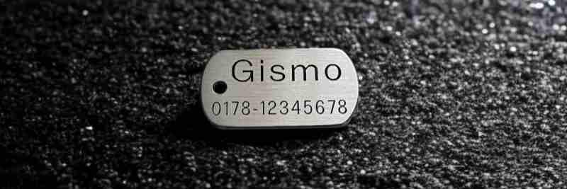 Hundemarke Edelstahl Dogtag, 30 mm, beidseitig