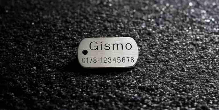 Hundemarke Edelstahl Dogtag, 30 mm, beidseitig
