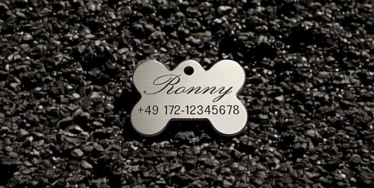 Hundemarke Edelstahl Knochen 33 mm, beidseitig