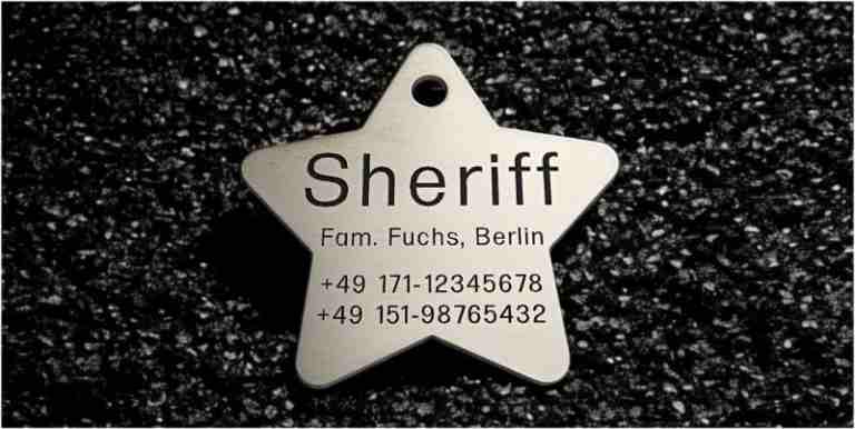 Hundemarke Edelstahl sonstige, Stern, 50 mm, beidseitig