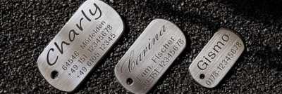 Hundemarke Edelstahl Dogtags Uebersicht