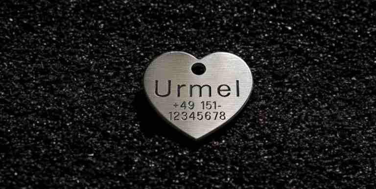 Hundemarke Edelstahl Herz, 30 mm, einseitig