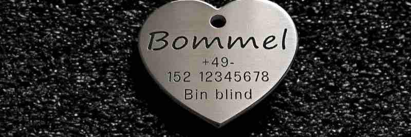 Hundemarke Edelstahl Herz, 40 mm, einseitig