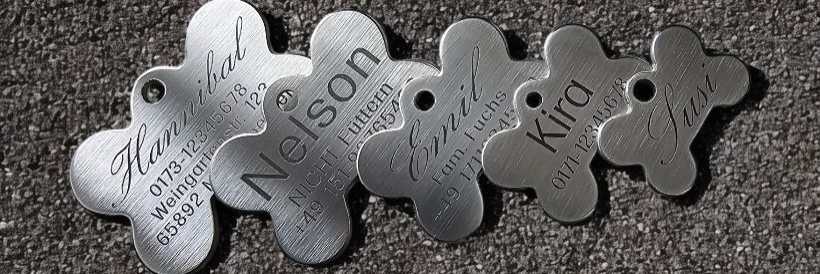 Edelstahl Knochen Uebersicht