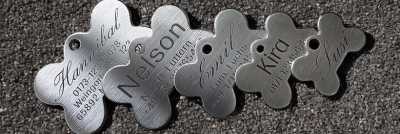 Edelstahl Knochen Uebersicht