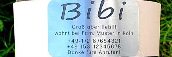 Hundemarke Plakette für dickere Halsbandmaterialien bis Breite 51 mm