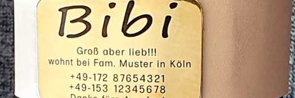 Hundemarke Plakette für dickere Halsbandmaterialien bis Breite 51 mm