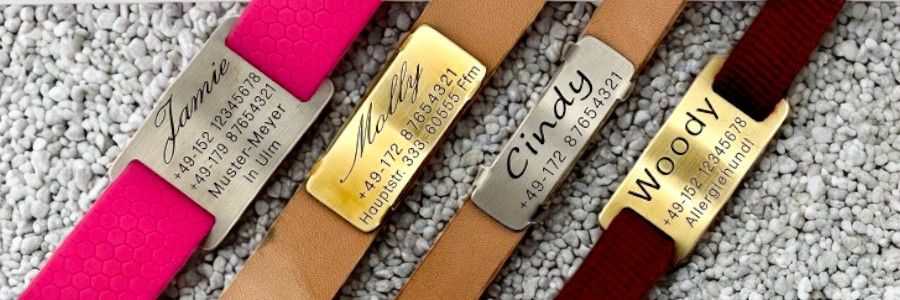 Halsbandplaketten - Übersicht