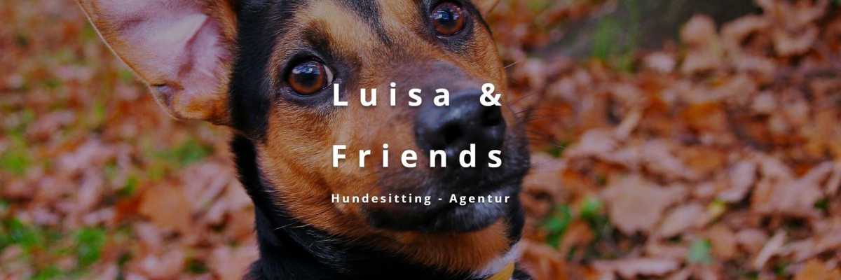LuisaandFriends