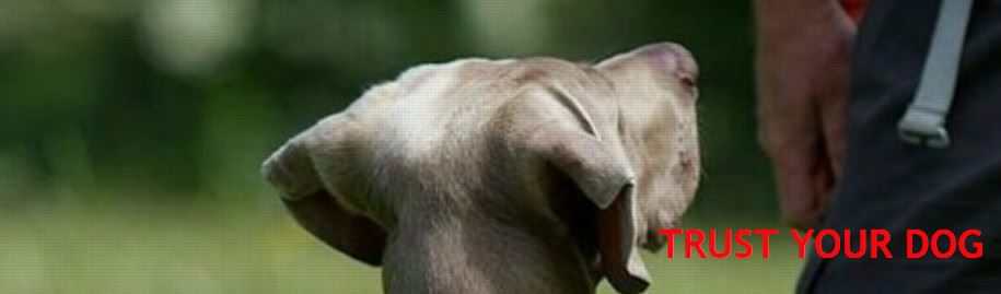 TrailschuleRegensburg2