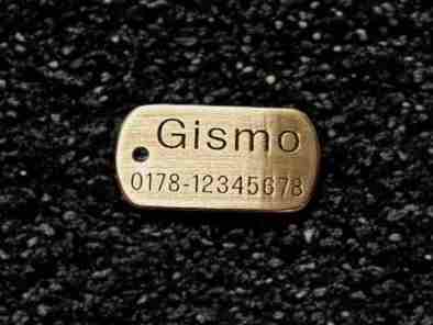 Hundemarke Messing Dogtag, 30 mm, einseitig