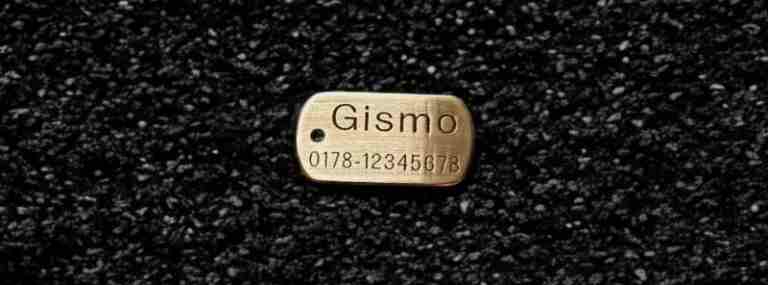 Hundemarke Messing Dogtag, 30 mm, einseitig