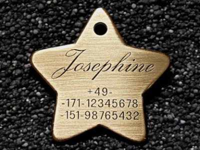 Hundemarke Messing Stern 40 mm