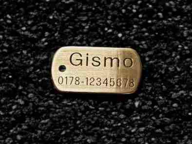 Hundemarke Messing Dogtag, 30 mm, beidseitig
