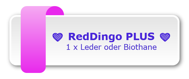 ❤️ RedDingo PLUS ❤️